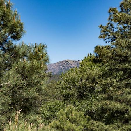 Homers Hideaway Ruidoso Exterior photo