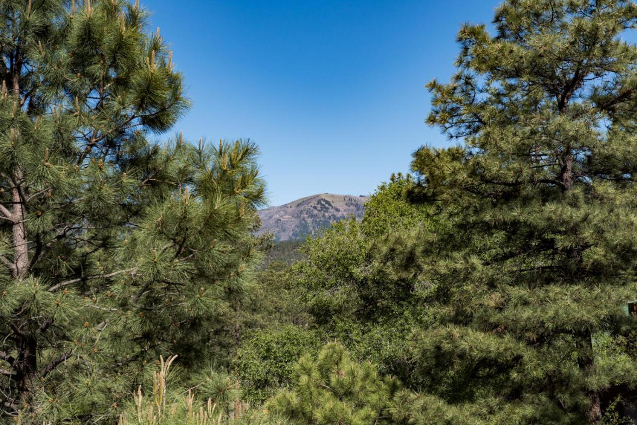 Homers Hideaway Ruidoso Exterior photo